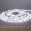 Світлодіодна стрічка MOTOKO PREMIUM SMD 2835 (120 LED/м), білий, IP20, 12В - бобіни від 5 метрів