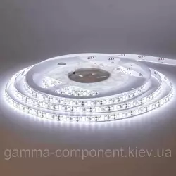 Світлодіодна стрічка MOTOKO PREMIUM SMD 2835 (120 LED/м), білий, IP65, 12В - бобіни від 5 метрів