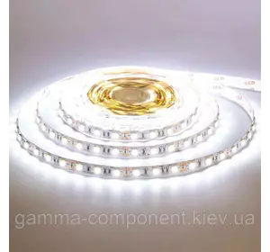 Світлодіодна стрічка MOTOKO PREMIUM SMD 5050 (60 LED/м), білий, IP20, 12В - бобіни від 5 метрів