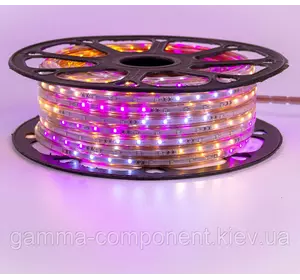 Комплект світлодіодної стрічки РДБ Multi Color 6 кольорів 220В (10 метрів)